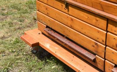 W tym domku pacjentów leczą pszczoły. Pierwsze takie miejsce w Krakowie - zdjęcie 8