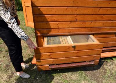 W tym domku pacjentów leczą pszczoły. Pierwsze takie miejsce w Krakowie - zdjęcie 6