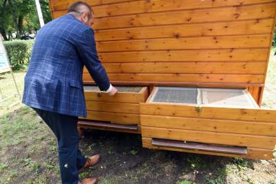 W tym domku pacjentów leczą pszczoły. Pierwsze takie miejsce w Krakowie - zdjęcie 4