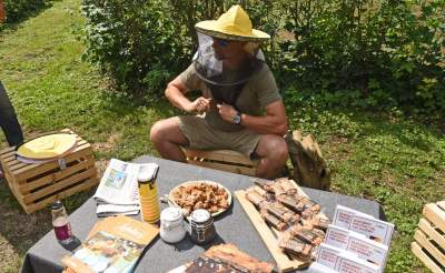 W tym domku pacjentów leczą pszczoły. Pierwsze takie miejsce w Krakowie - zdjęcie 11