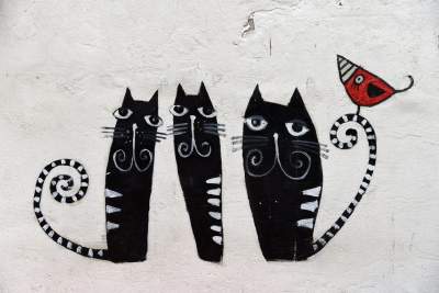 Czas się zatrzymał. Piękna choć zaniedbana ulica... - zdjęcie 8