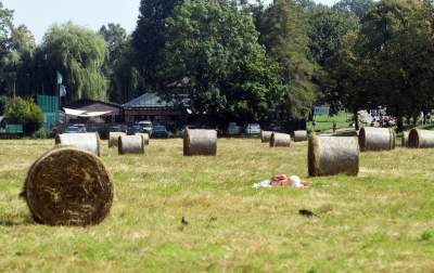 Taka sytuacja na Błoniach: ostatnie sianokosy - zdjęcie 7