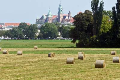 Taka sytuacja na Błoniach: ostatnie sianokosy - zdjęcie 11