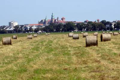 Taka sytuacja na Błoniach: ostatnie sianokosy - zdjęcie 5