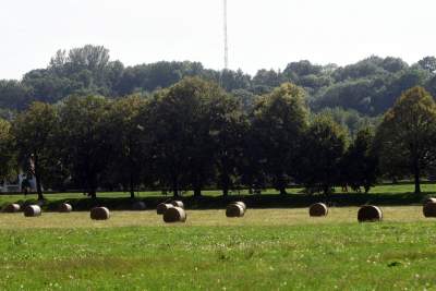 Taka sytuacja na Błoniach: ostatnie sianokosy - zdjęcie 2