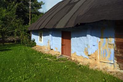 Zatrudnili kozy do utrzymania zieleni w pięknej podkrakowskiej dolinie... - zdjęcie 2