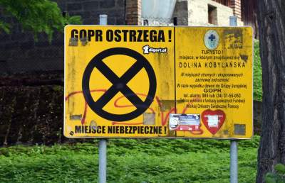 Zatrudnili kozy do utrzymania zieleni w pięknej podkrakowskiej dolinie... - zdjęcie 23