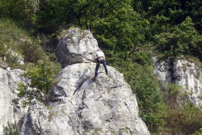 Zatrudnili kozy do utrzymania zieleni w pięknej podkrakowskiej dolinie... - zdjęcie 24
