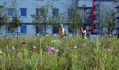 Park Reduta: zaprojektowany razem z mieszkańcami - zdjęcie 31