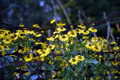 Park Reduta: zaprojektowany razem z mieszkańcami - zdjęcie 17