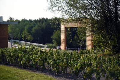 Park Reduta: zaprojektowany razem z mieszkańcami - zdjęcie 36