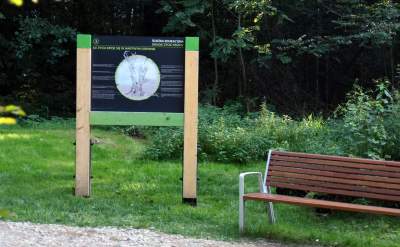 Park Reduta: zaprojektowany razem z mieszkańcami - zdjęcie 45