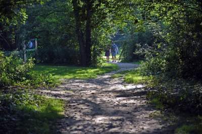 Park Reduta: zaprojektowany razem z mieszkańcami - zdjęcie 44