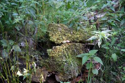 Park Reduta: zaprojektowany razem z mieszkańcami - zdjęcie 47