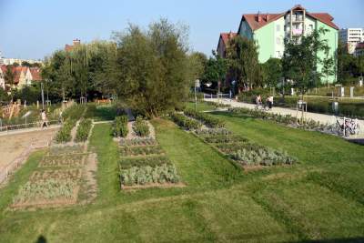 Park Reduta: zaprojektowany razem z mieszkańcami - zdjęcie 29