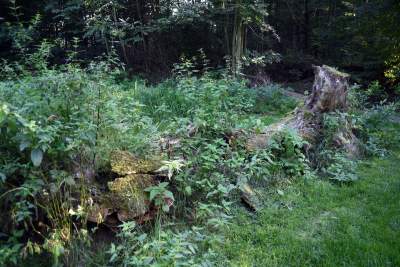 Park Reduta: zaprojektowany razem z mieszkańcami - zdjęcie 46