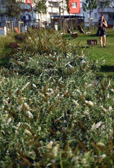 Park Reduta: zaprojektowany razem z mieszkańcami - zdjęcie 33