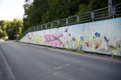 Podejrzewany o LGBT kogut z Pcimia nadal zdewastowany, kto naprawi mural? - zdjęcie 6
