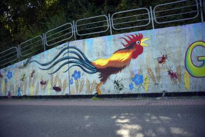 Podejrzewany o LGBT kogut z Pcimia nadal zdewastowany, kto naprawi mural? - zdjęcie 15