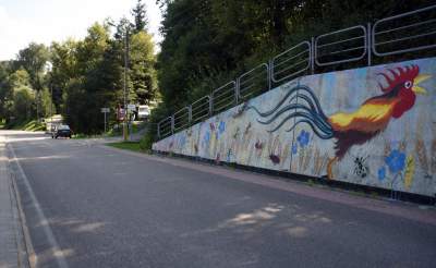 Podejrzewany o LGBT kogut z Pcimia nadal zdewastowany, kto naprawi mural? - zdjęcie 13