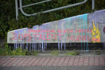 Podejrzewany o LGBT kogut z Pcimia nadal zdewastowany, kto naprawi mural? - zdjęcie 16