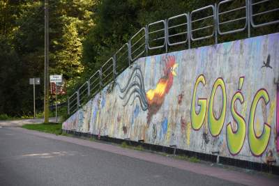 Podejrzewany o LGBT kogut z Pcimia nadal zdewastowany, kto naprawi mural? - zdjęcie 8