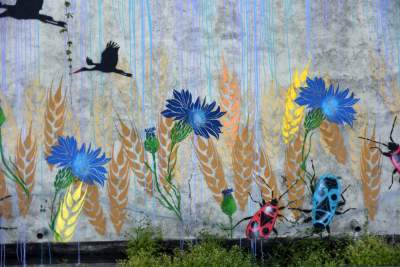 Podejrzewany o LGBT kogut z Pcimia nadal zdewastowany, kto naprawi mural? - zdjęcie 14