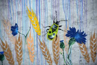 Podejrzewany o LGBT kogut z Pcimia nadal zdewastowany, kto naprawi mural? - zdjęcie 9