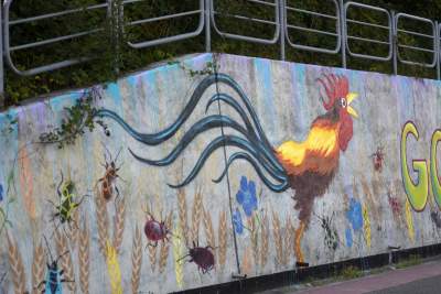 Podejrzewany o LGBT kogut z Pcimia nadal zdewastowany, kto naprawi mural? - zdjęcie 1