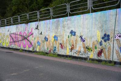 Podejrzewany o LGBT kogut z Pcimia nadal zdewastowany, kto naprawi mural? - zdjęcie 10