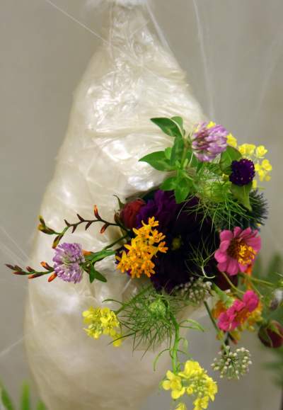 Wyjątkowy ogród: rośliny biblijne i... in vitro - zdjęcie 33