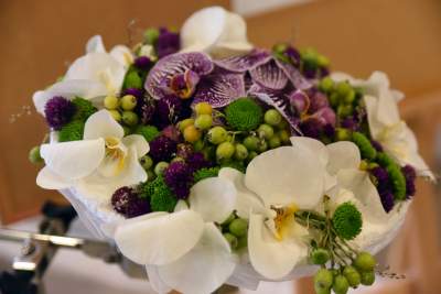 Wyjątkowy ogród: rośliny biblijne i... in vitro - zdjęcie 39