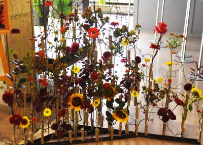 Wyjątkowy ogród: rośliny biblijne i... in vitro - zdjęcie 38