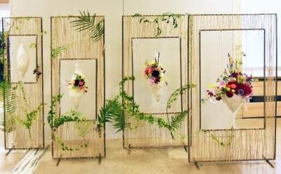 Wyjątkowy ogród: rośliny biblijne i... in vitro - zdjęcie 31