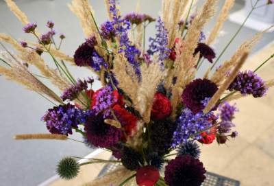 Wyjątkowy ogród: rośliny biblijne i... in vitro - zdjęcie 34