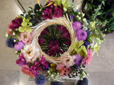 Wyjątkowy ogród: rośliny biblijne i... in vitro - zdjęcie 29