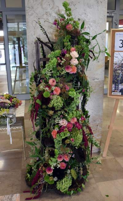 Wyjątkowy ogród: rośliny biblijne i... in vitro - zdjęcie 24