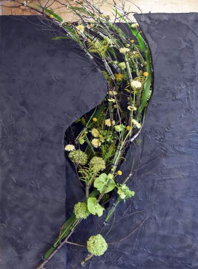 Wyjątkowy ogród: rośliny biblijne i... in vitro - zdjęcie 35