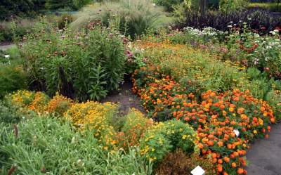 Wyjątkowy ogród: rośliny biblijne i... in vitro - zdjęcie 9