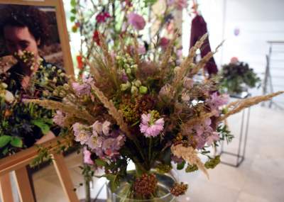 Wyjątkowy ogród: rośliny biblijne i... in vitro - zdjęcie 25