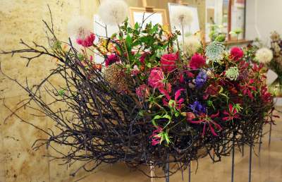 Wyjątkowy ogród: rośliny biblijne i... in vitro - zdjęcie 37