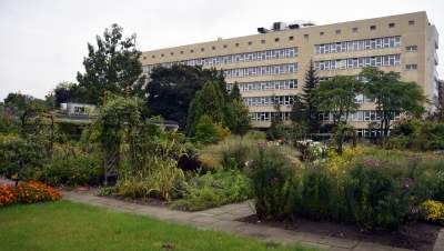 Wyjątkowy ogród: rośliny biblijne i... in vitro - zdjęcie 18