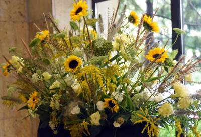 Wyjątkowy ogród: rośliny biblijne i... in vitro - zdjęcie 28