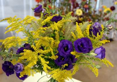 Wyjątkowy ogród: rośliny biblijne i... in vitro - zdjęcie 40