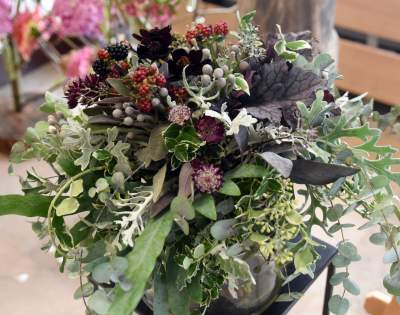 Wyjątkowy ogród: rośliny biblijne i... in vitro - zdjęcie 27