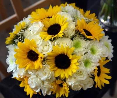 Wyjątkowy ogród: rośliny biblijne i... in vitro - zdjęcie 23