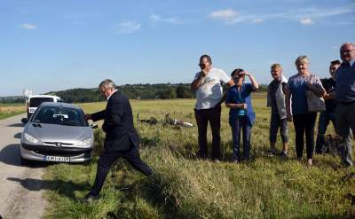 Start budowy S7 między Szczepanowicami i Widomą (11.09.2019)  fot. Marek Lasyk - zdjęcie 7