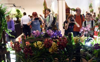 Kapitalna wystawa niezwykłych roślin - zdjęcie 3