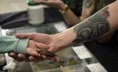 Kapitalna wystawa niezwykłych roślin - zdjęcie 29