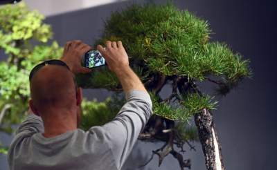 Kapitalna wystawa niezwykłych roślin - zdjęcie 38